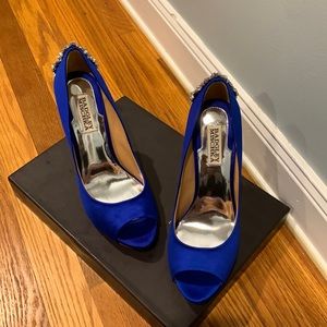 Beautiful blue size 8 shoe like new been worn except to try on in the house.